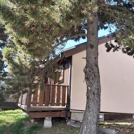 Chalet De L Ours Bolquere Pyrenees 2000 外观 照片