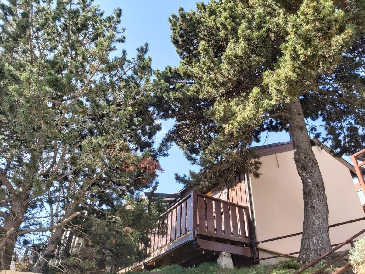 Chalet De L Ours Bolquere Pyrenees 2000 外观 照片